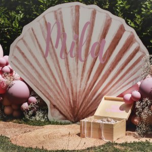 Coquillage XL pour fond photo